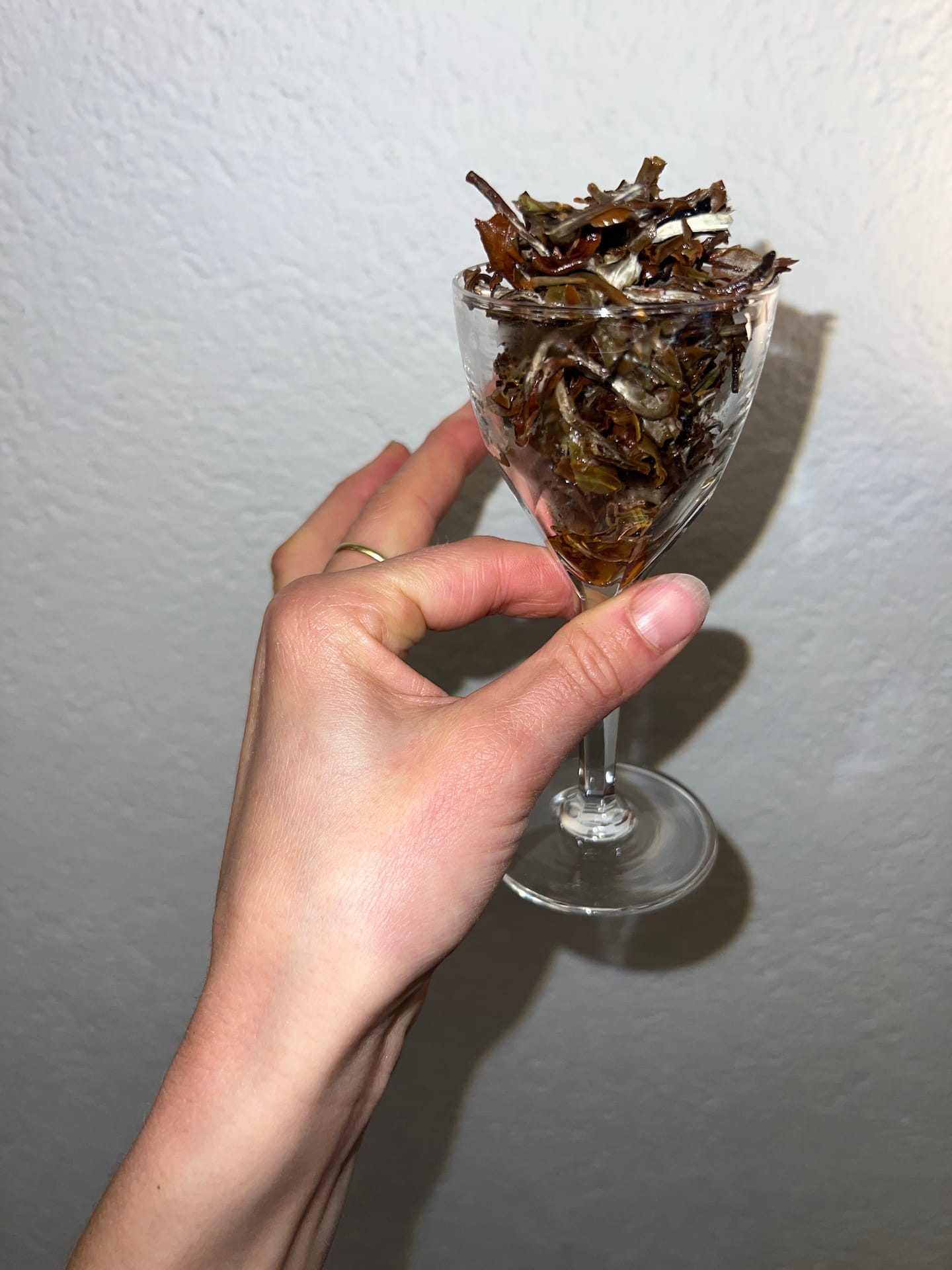 Teetasting – dunkle Gläser mit Tee auf einem Tisch